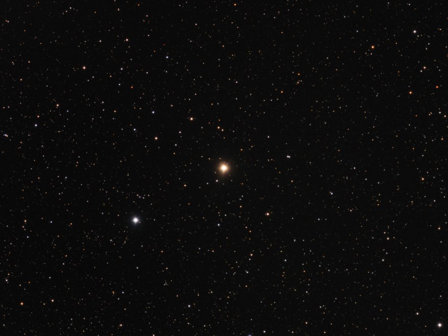 Молодило "Cassiopea Red"