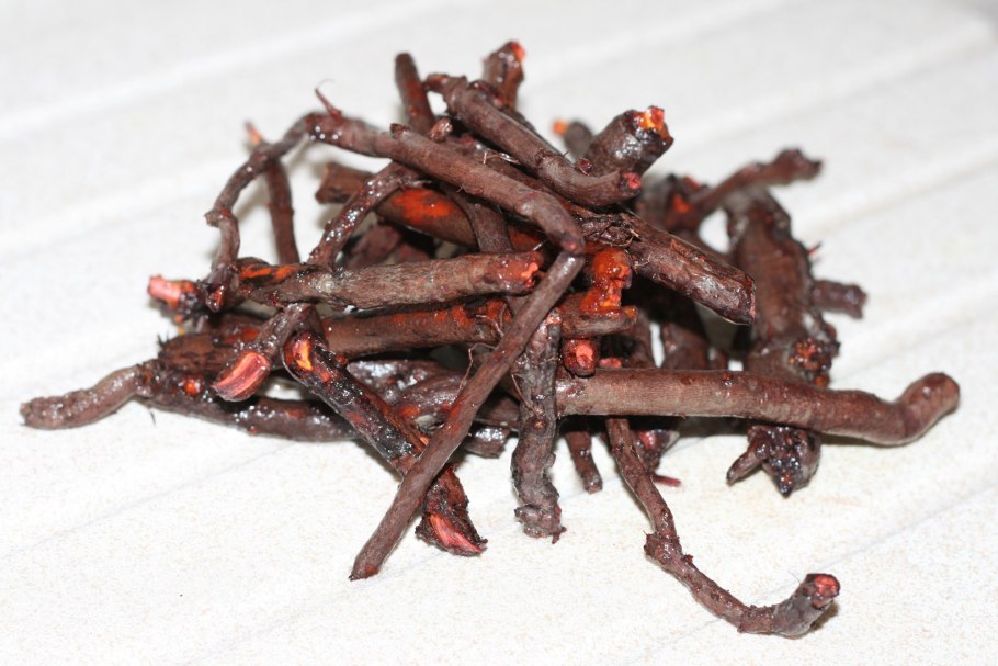 Корень Марены красильной