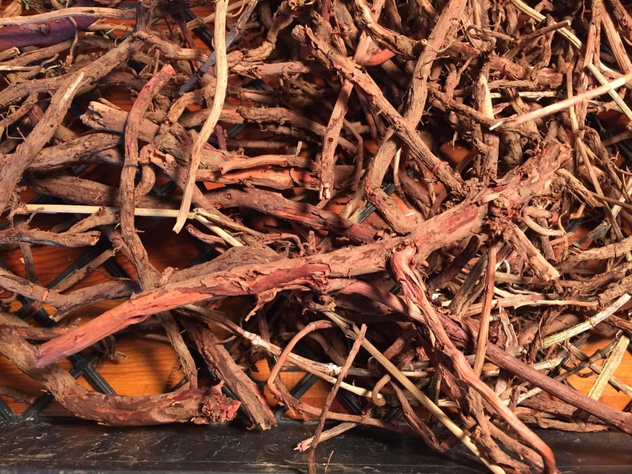 Растение Марена красильная