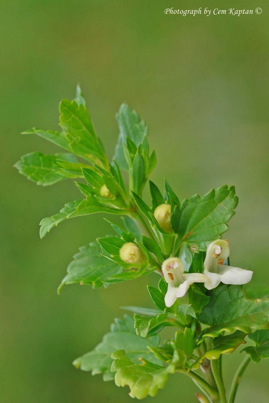 Эквилибриум съемки