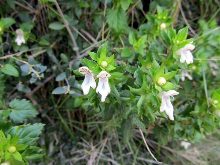 Джон Престон Эквилибриум