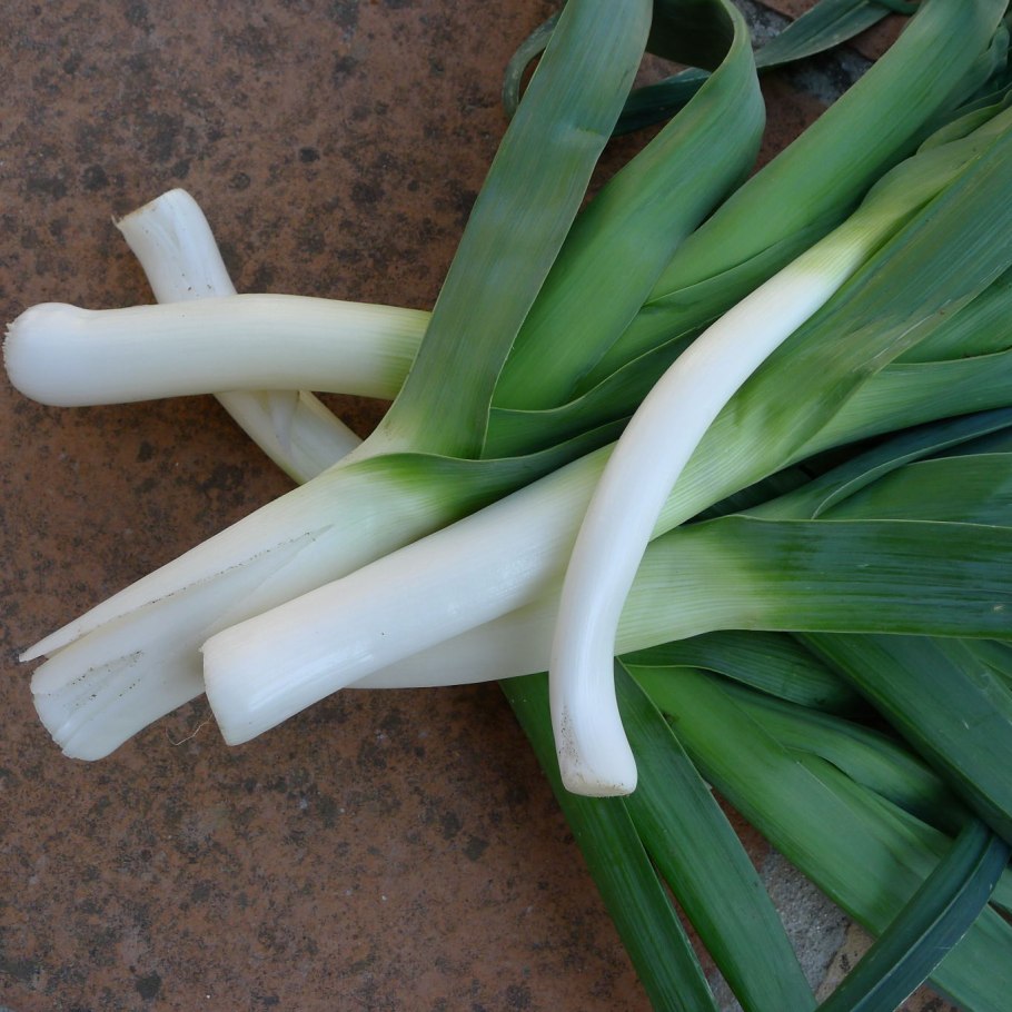 Юрий Кушевский натюрморт Графика