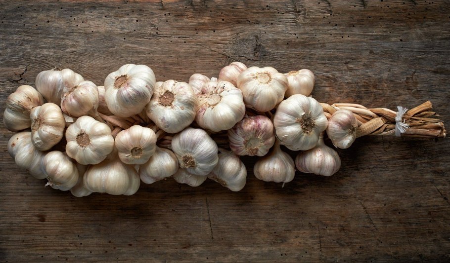 Лук слизун батун