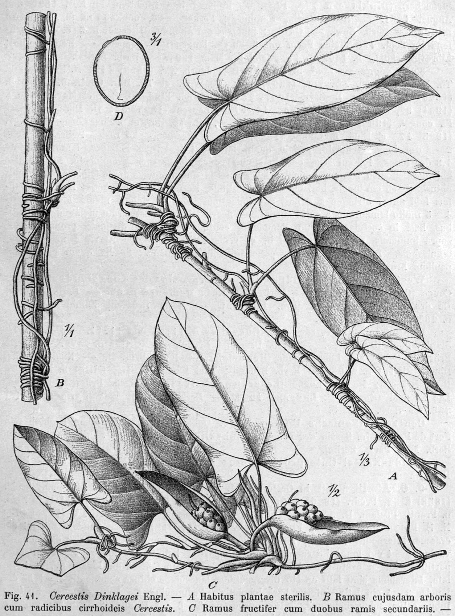 Материнская плата MSI 865gvm2-LS