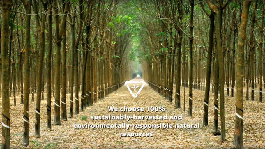 Гевея Южная Америка