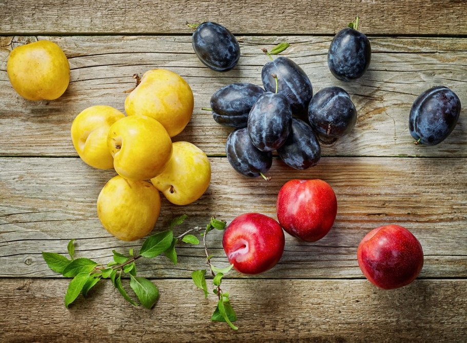 Сливы фрукты