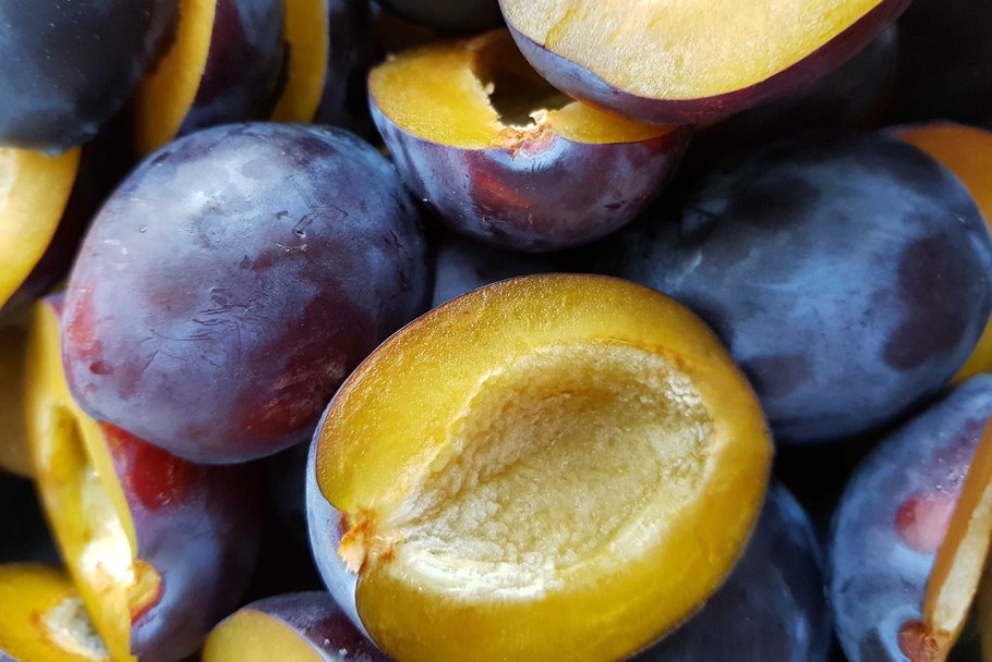 Тернослива Ермак