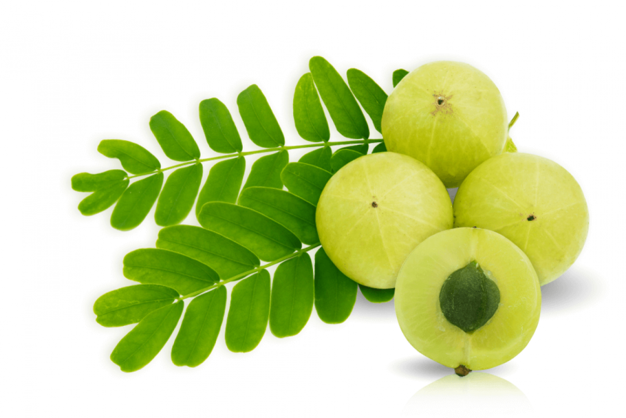 Эмблика (Амла)