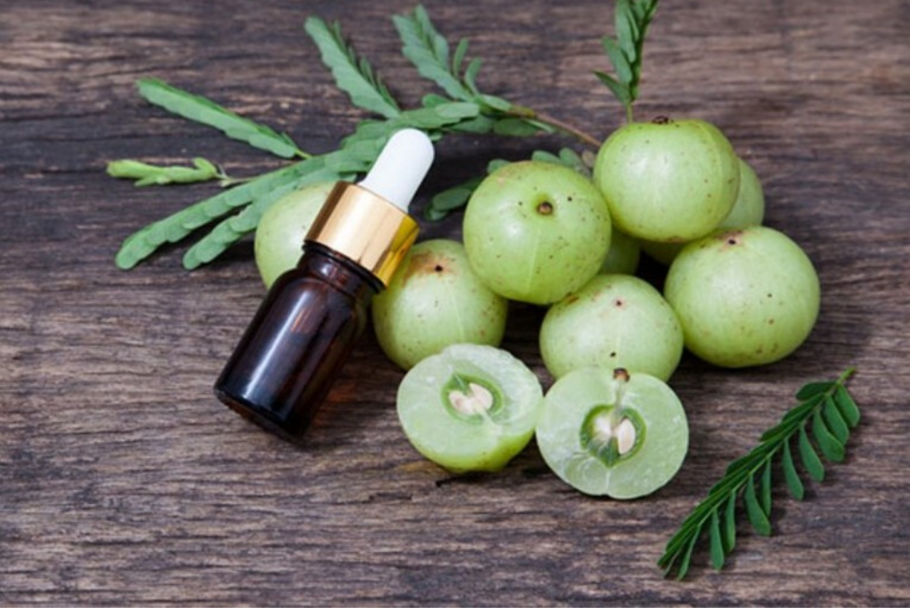 Эмблика (Амла)