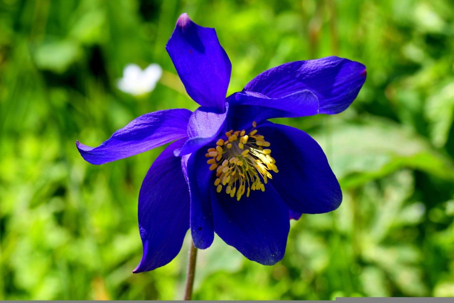 Удельный водосбор