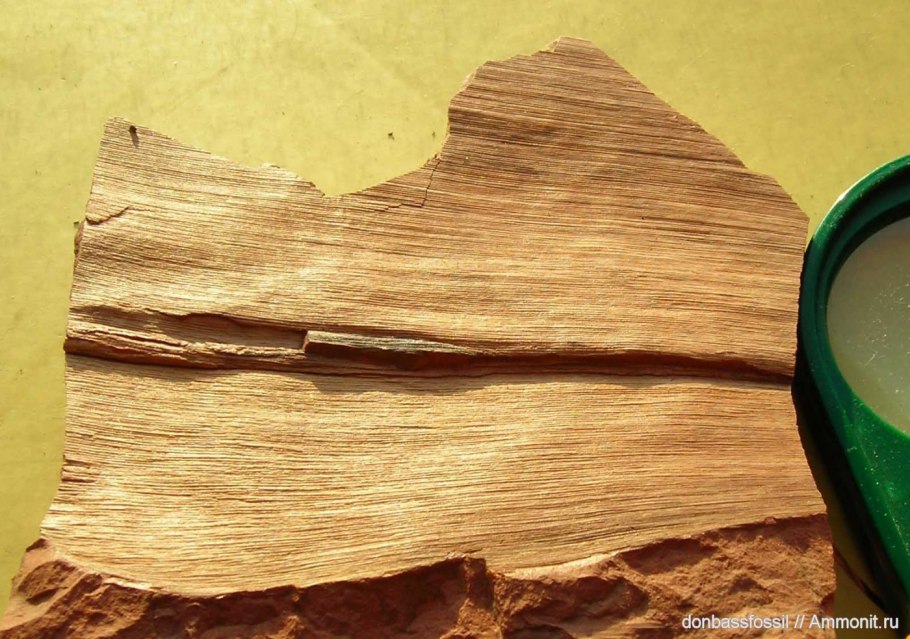 Кордаит меловой