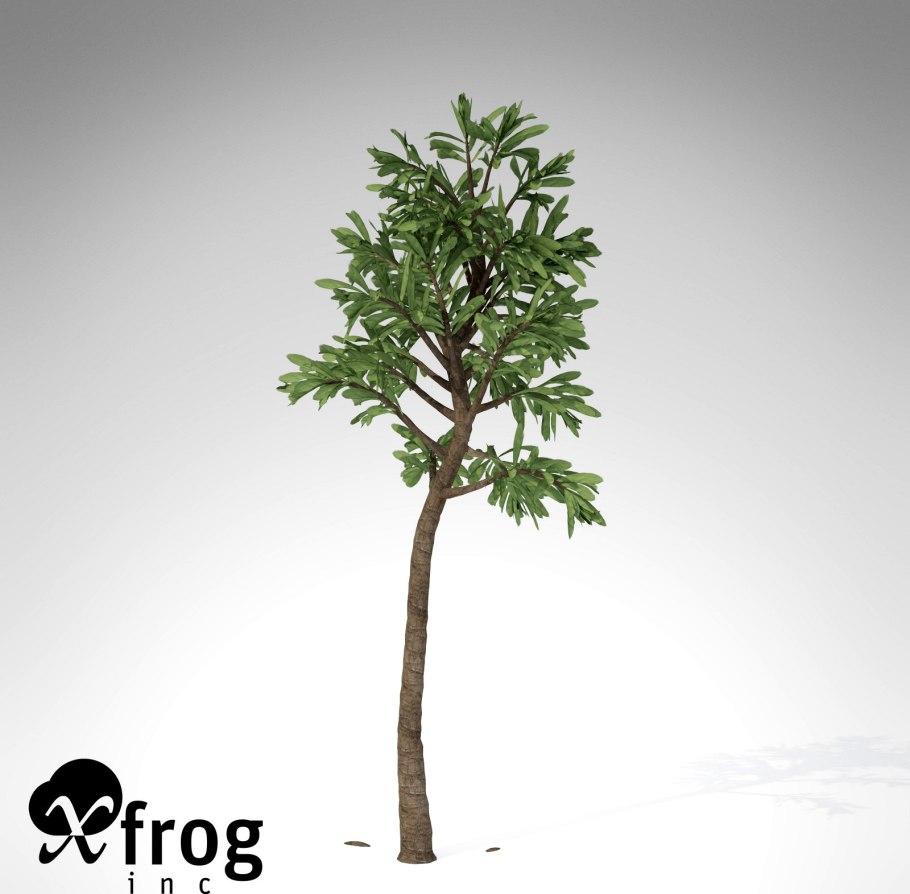 Кордаиты окаменевшие