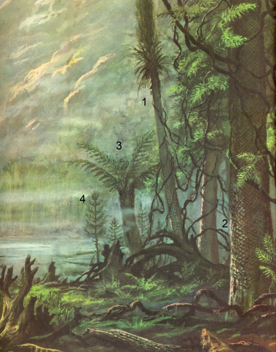 Каменноугольный период палеозойской эры