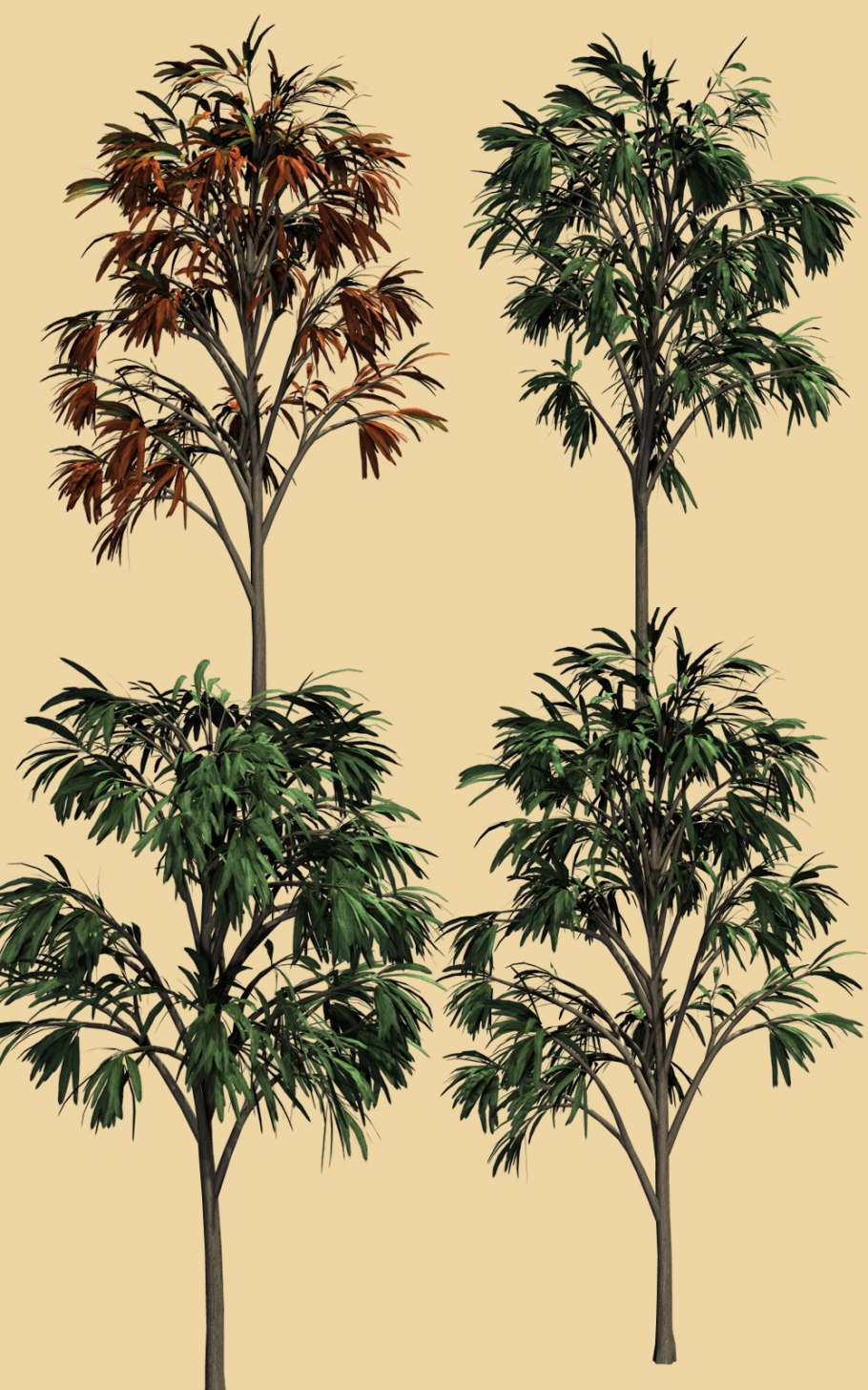 1. Կորդաիտայիններ- cordaitidi