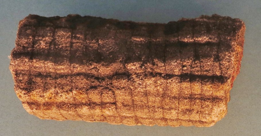 Систематика высших растений