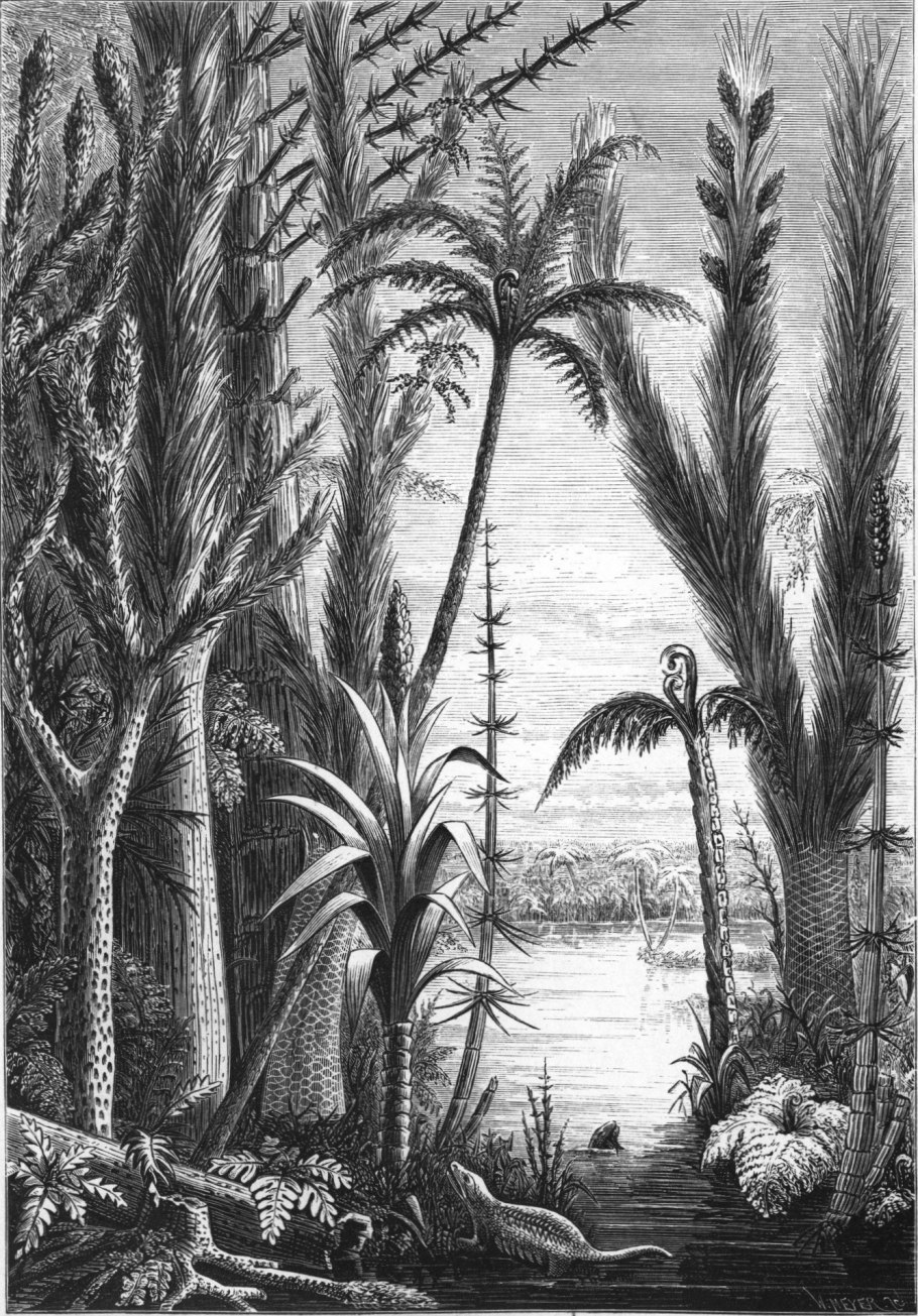 Пермский период кордаиты