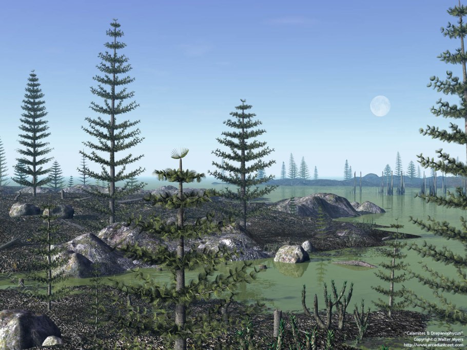 Пермский период кордаиты