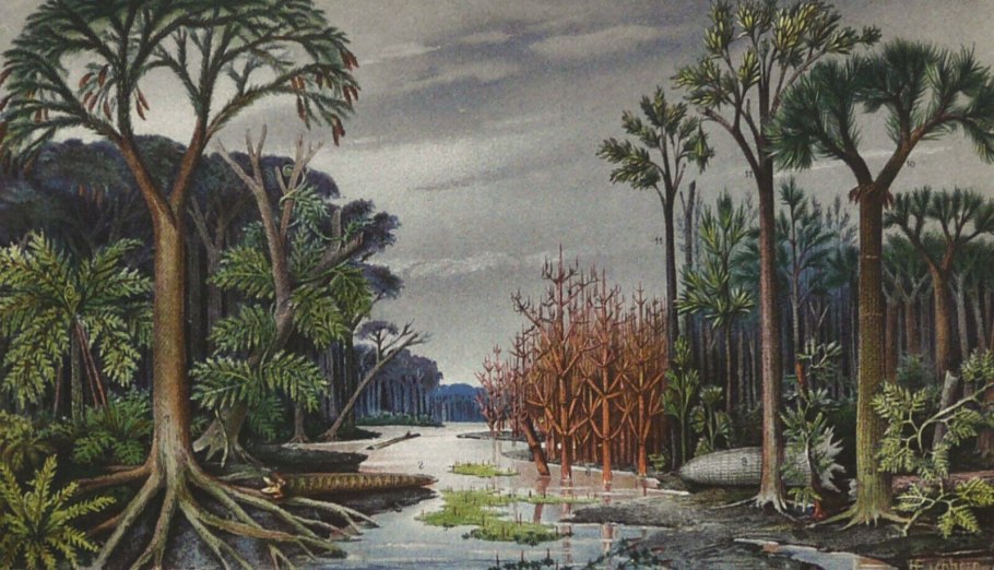 Папоротники 400 млн лет назад