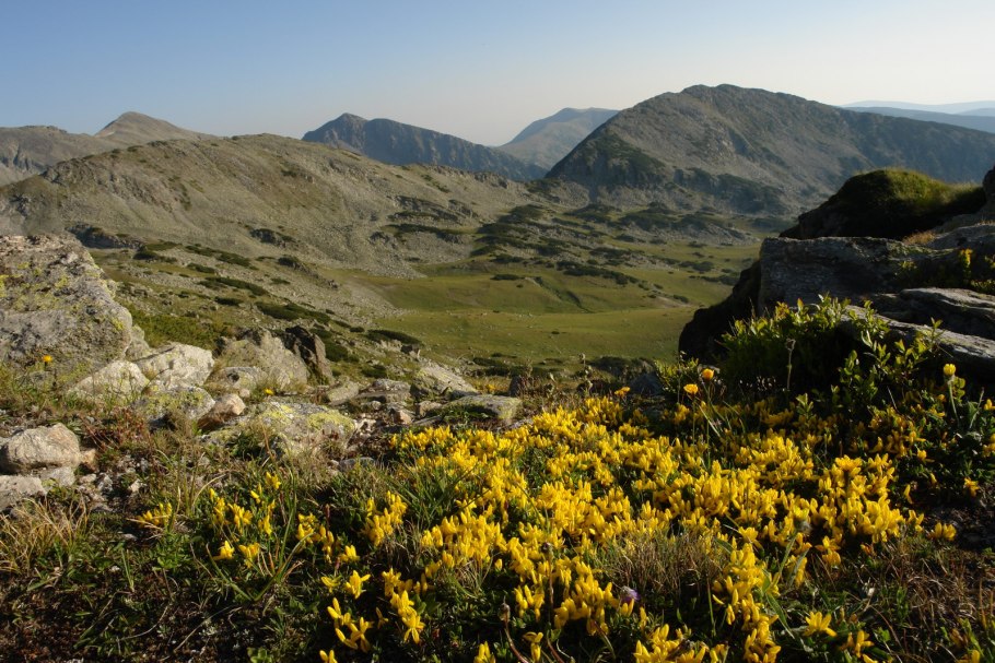 Ергаки Альпийские Луга