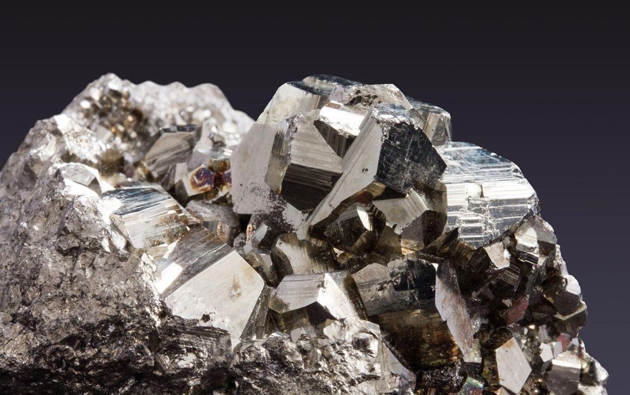 Трипофобия Лотос орехоносный