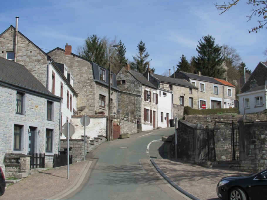 Валония пузатая это клетка