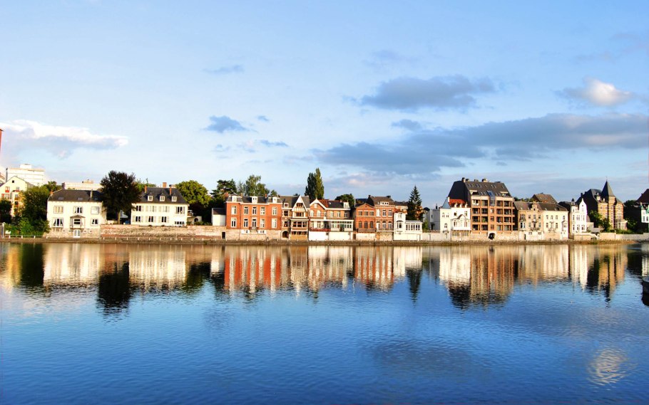 Валлония вентрикоза