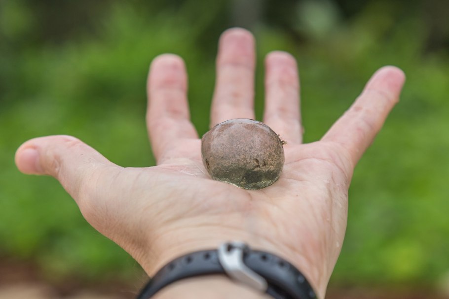 Динан Бельгия