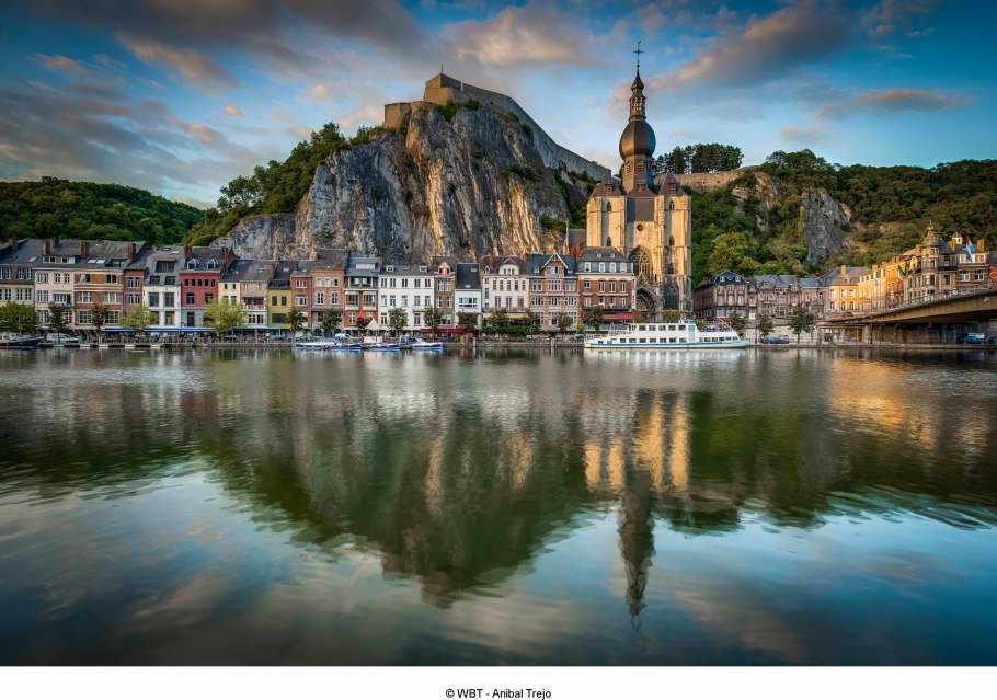 Валлония растение