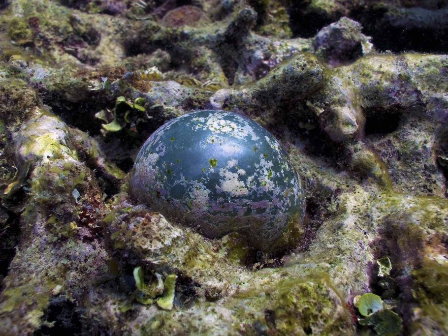 Замок Динант Бельгия