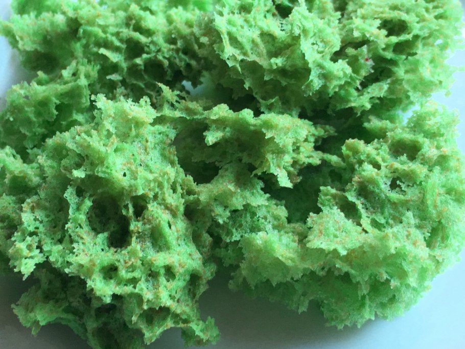 Грибной мох