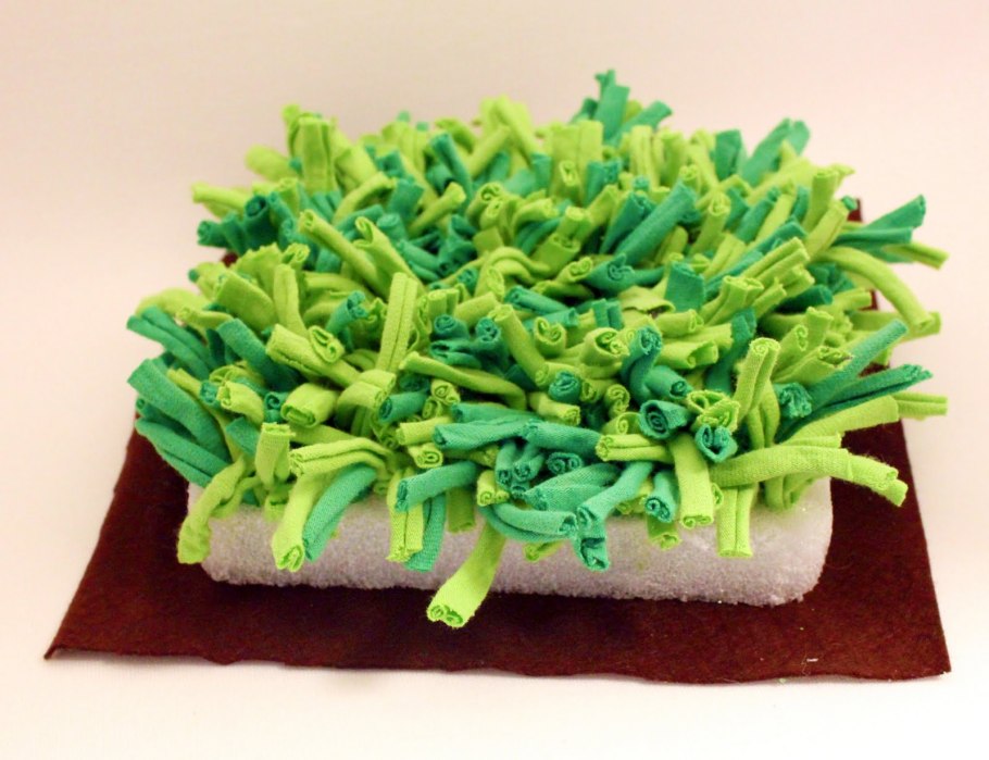 Мох сфагнум Плант