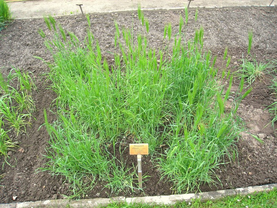 Водорозетка полипропиленовая 20х1/2 ВР