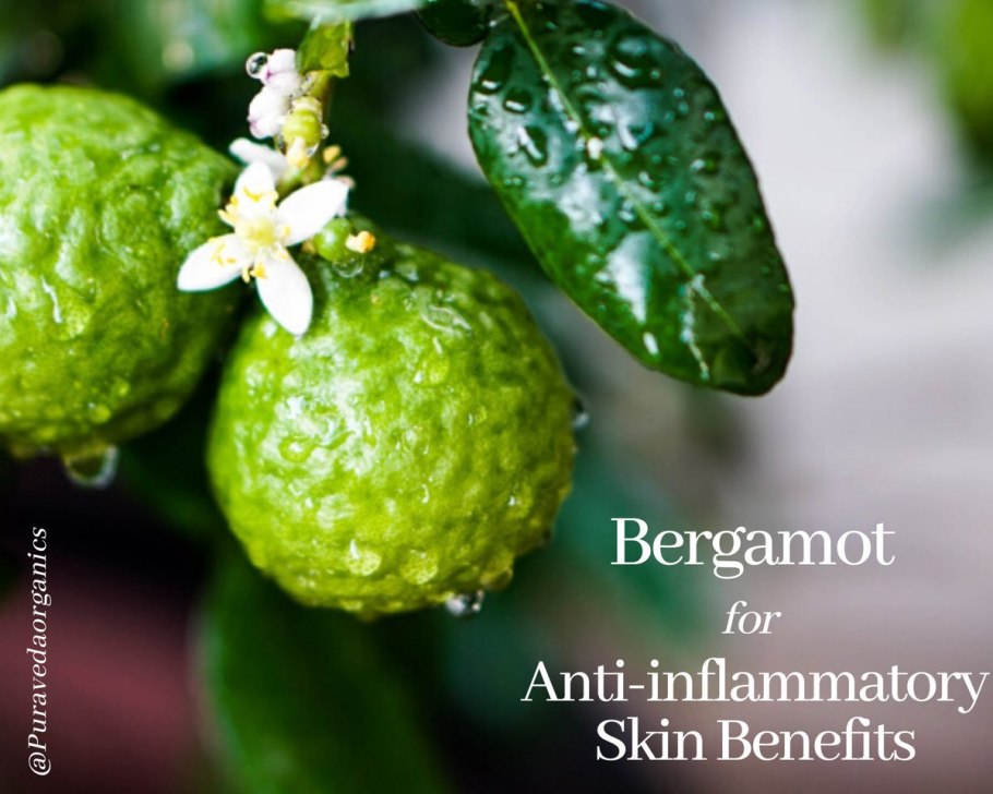 Бергамот плоды