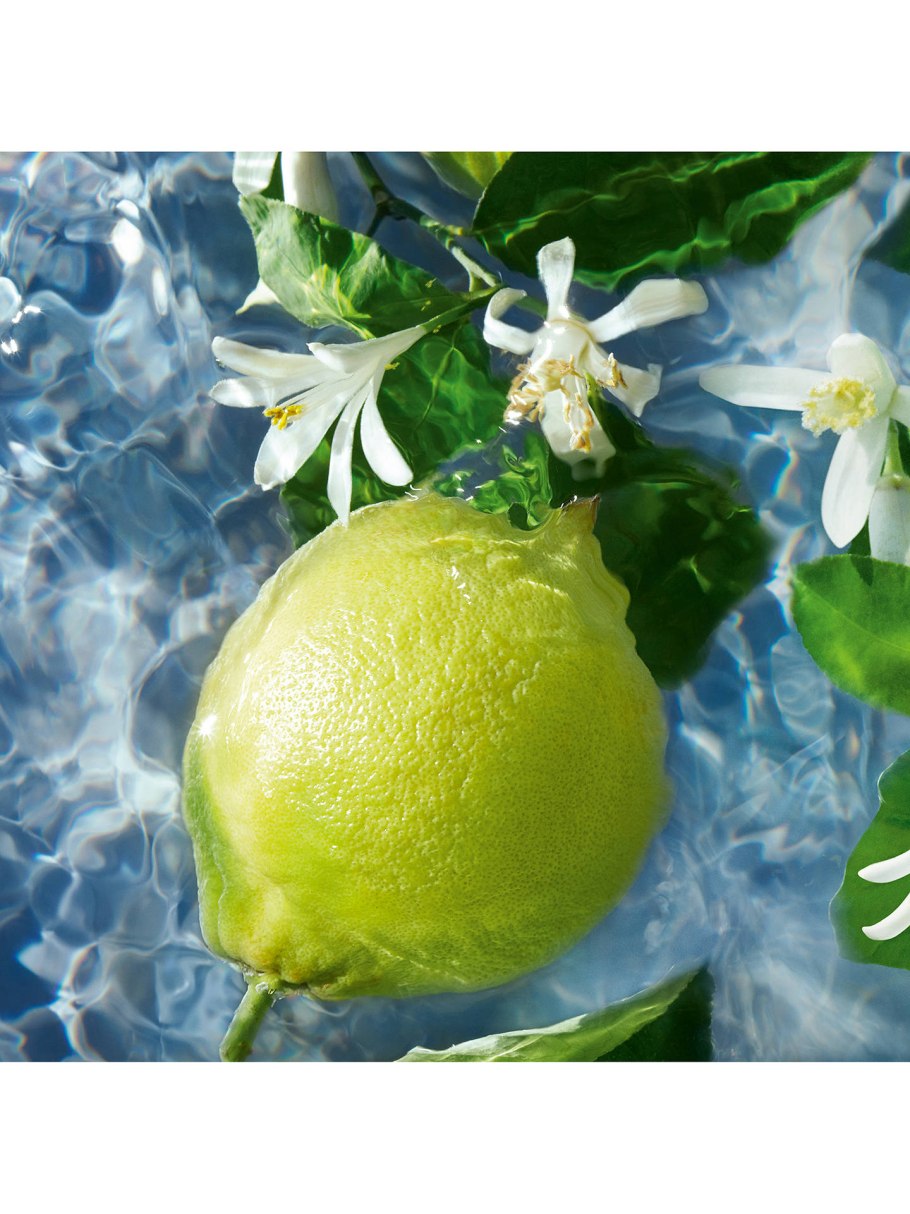 Фрукт зеленый бергамот