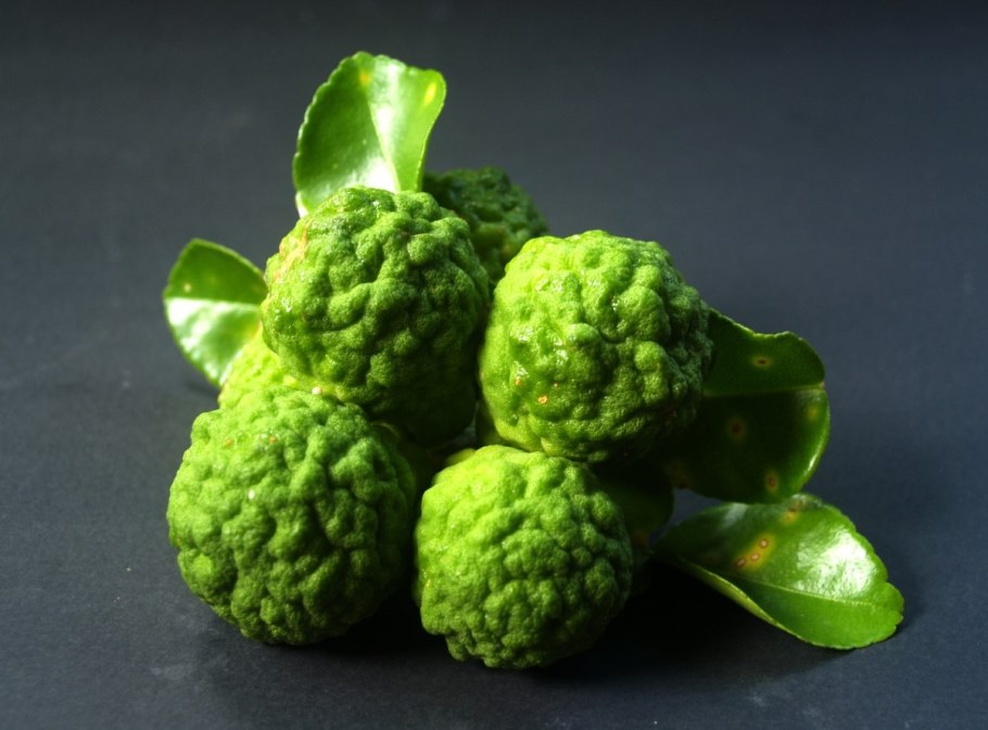 Бергамот цитрусовый