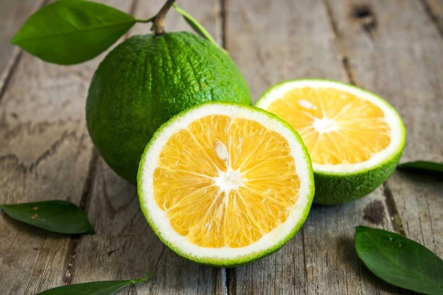 Бергамот плоды