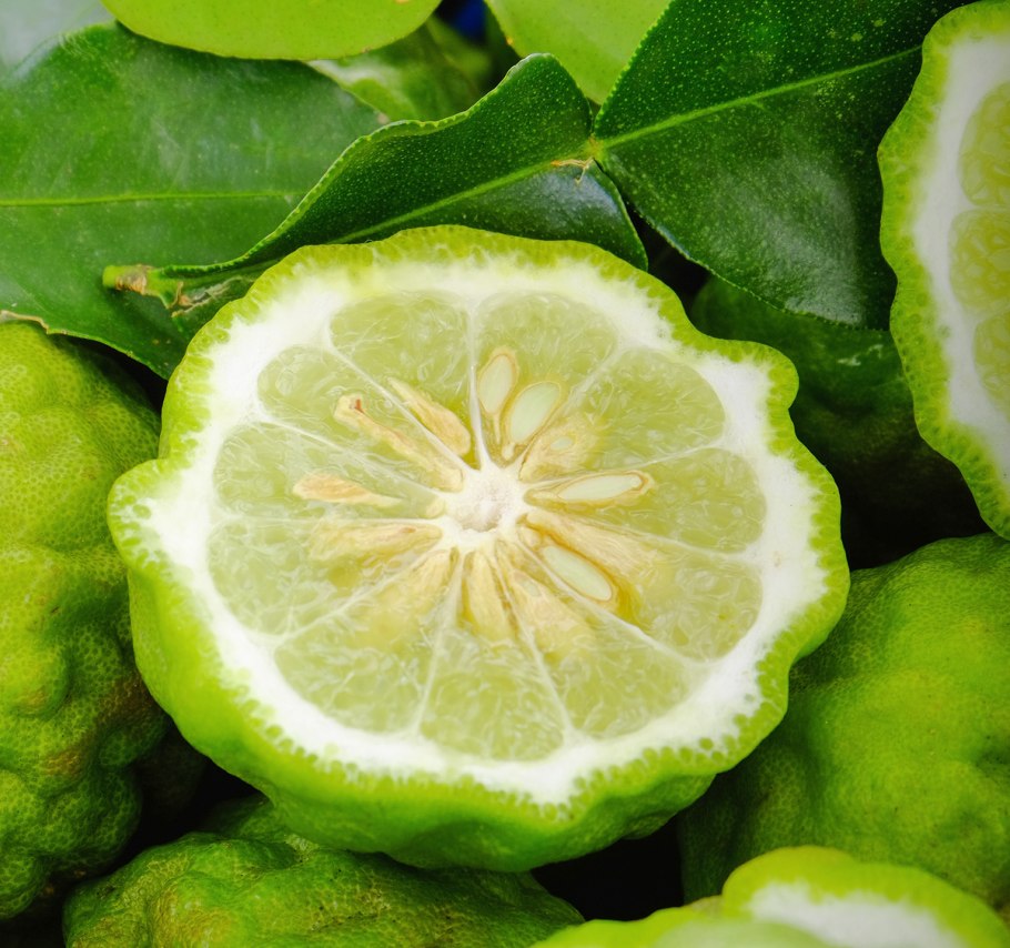 Citrus bergamia бергамот