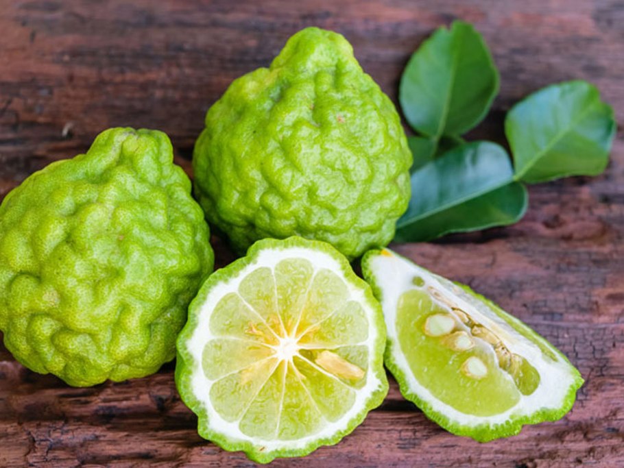 Бергамот бергамия