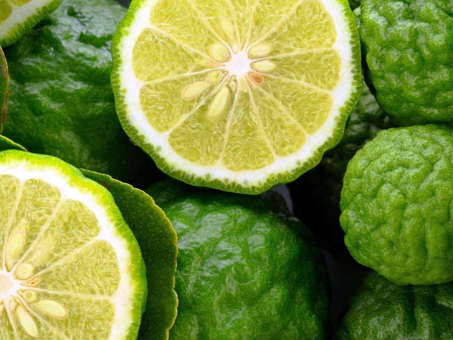 Бергамот бергамия