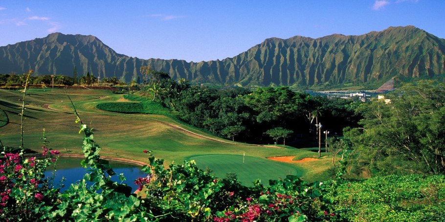 Ангельский дуб Южная Каролина