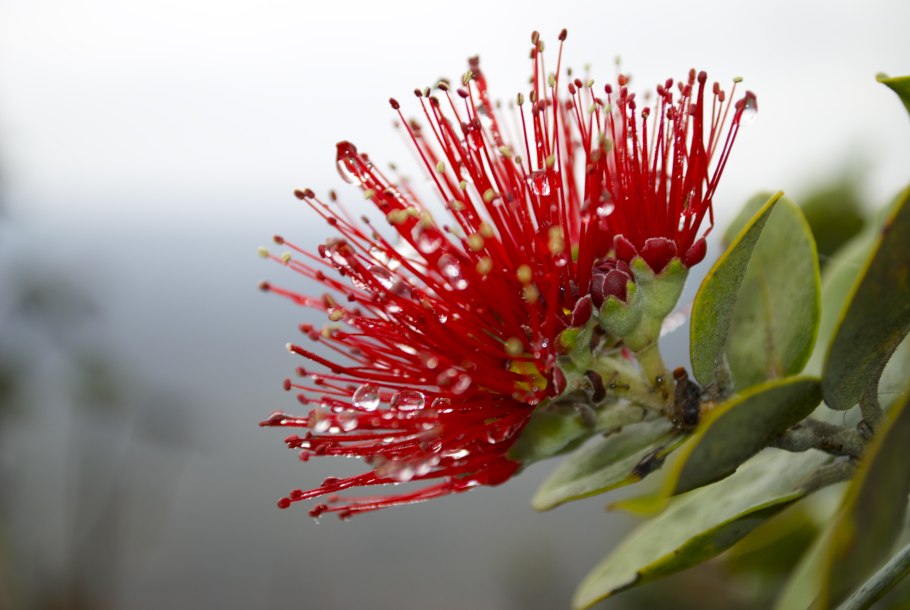 Джерард Батлер глаза