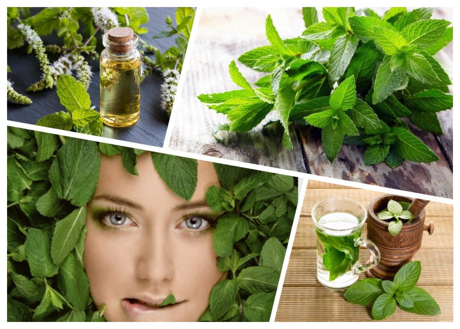 Гидролат "мята"