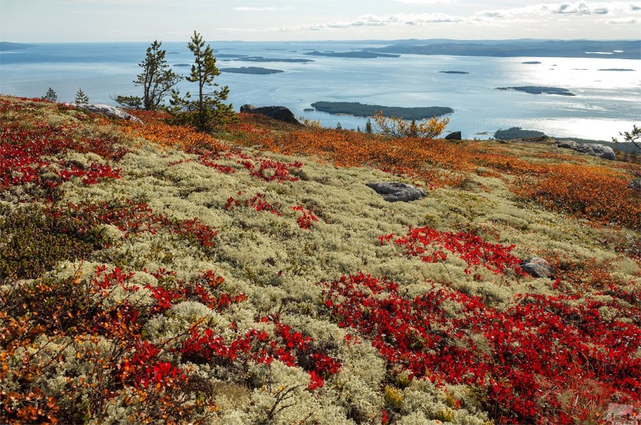 Кольский полуостров Кандалакша