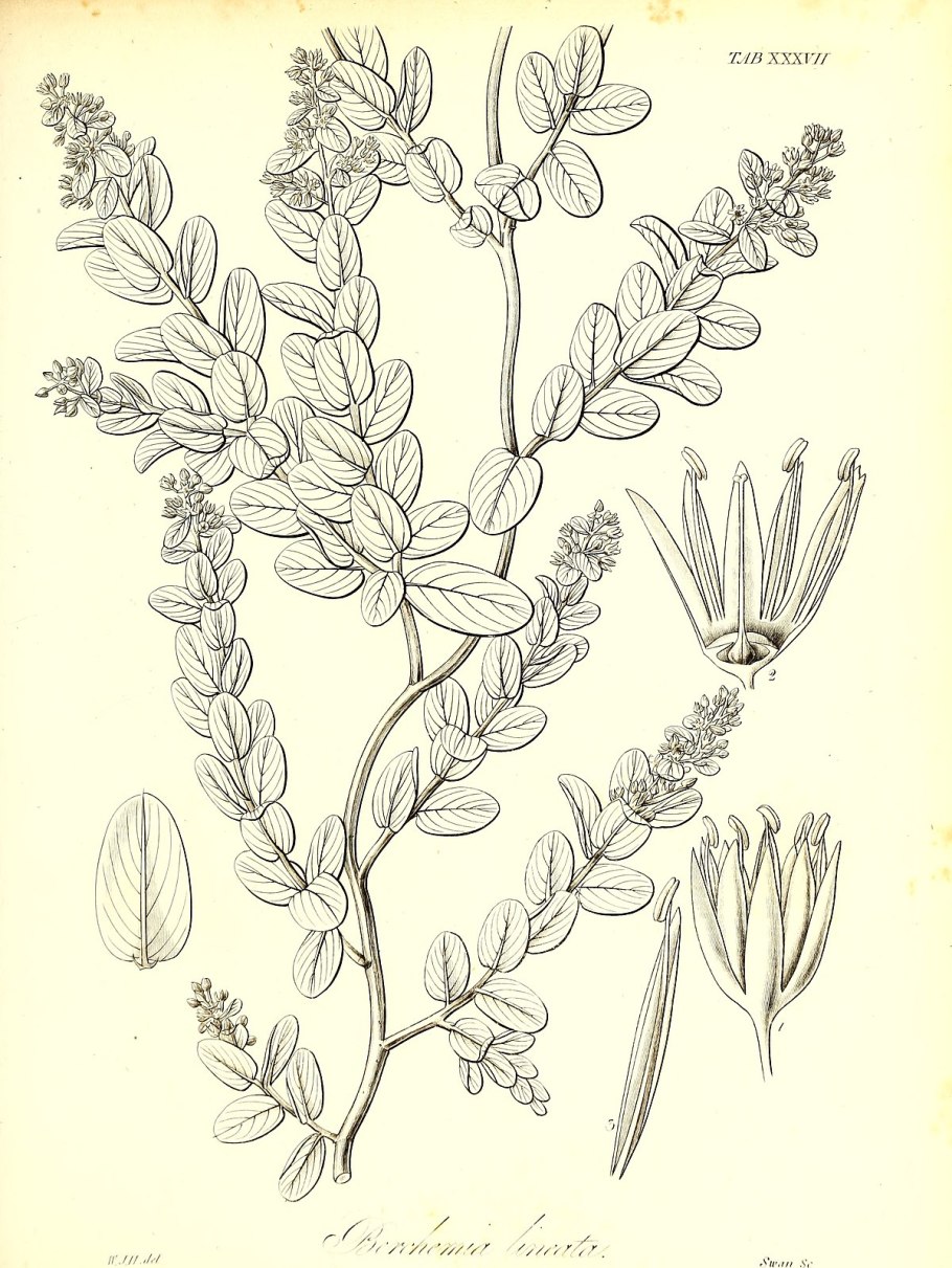 Замок в Мюнхене