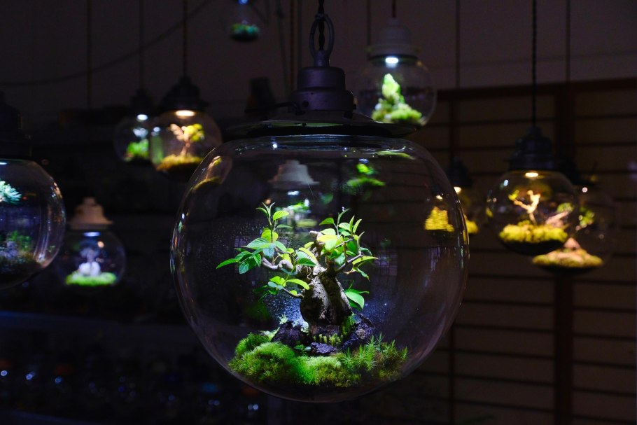 Замок Швангау Германия