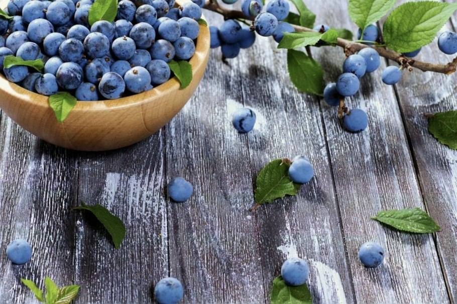 Слива колючая Терн