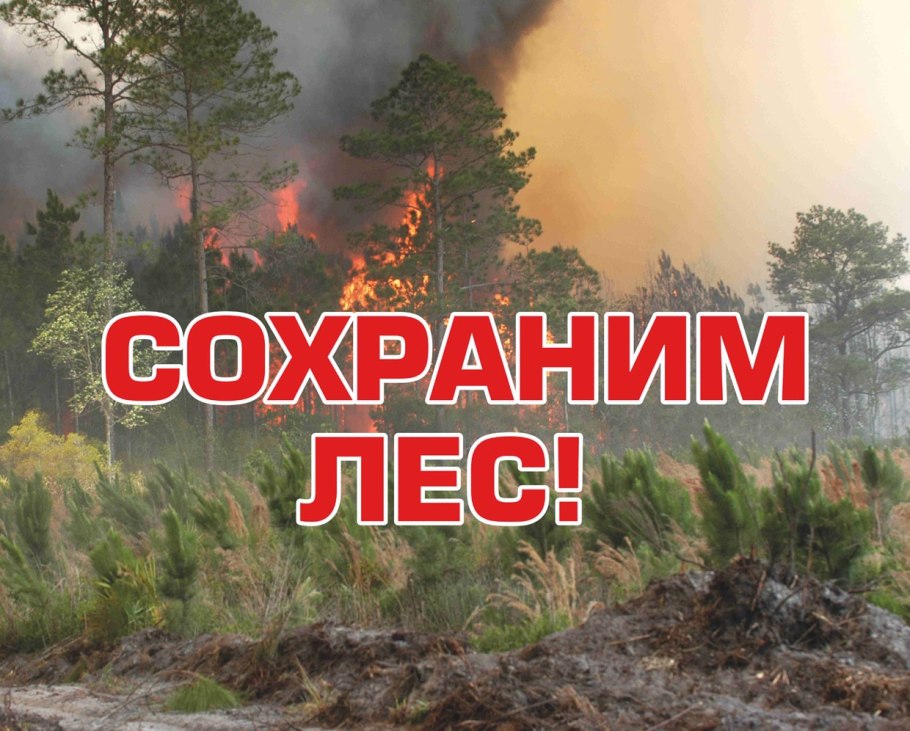 Охрана леса