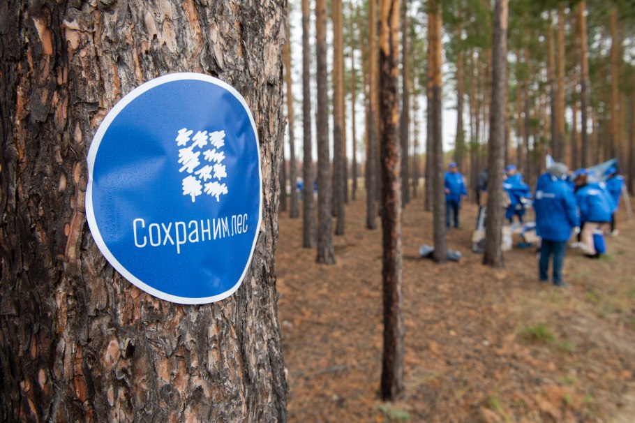 Сохраним лес от пожара