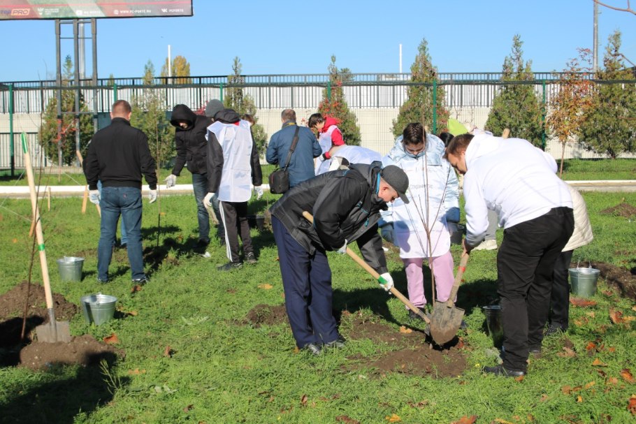 Сохрани леса от пожаров
