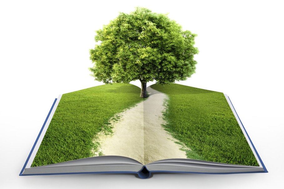 Посада леса